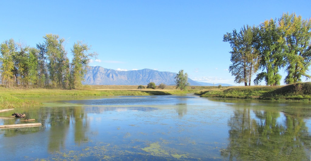 Photograph of Creston Mountains