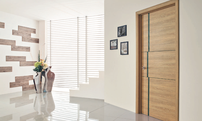 interior doors modern style